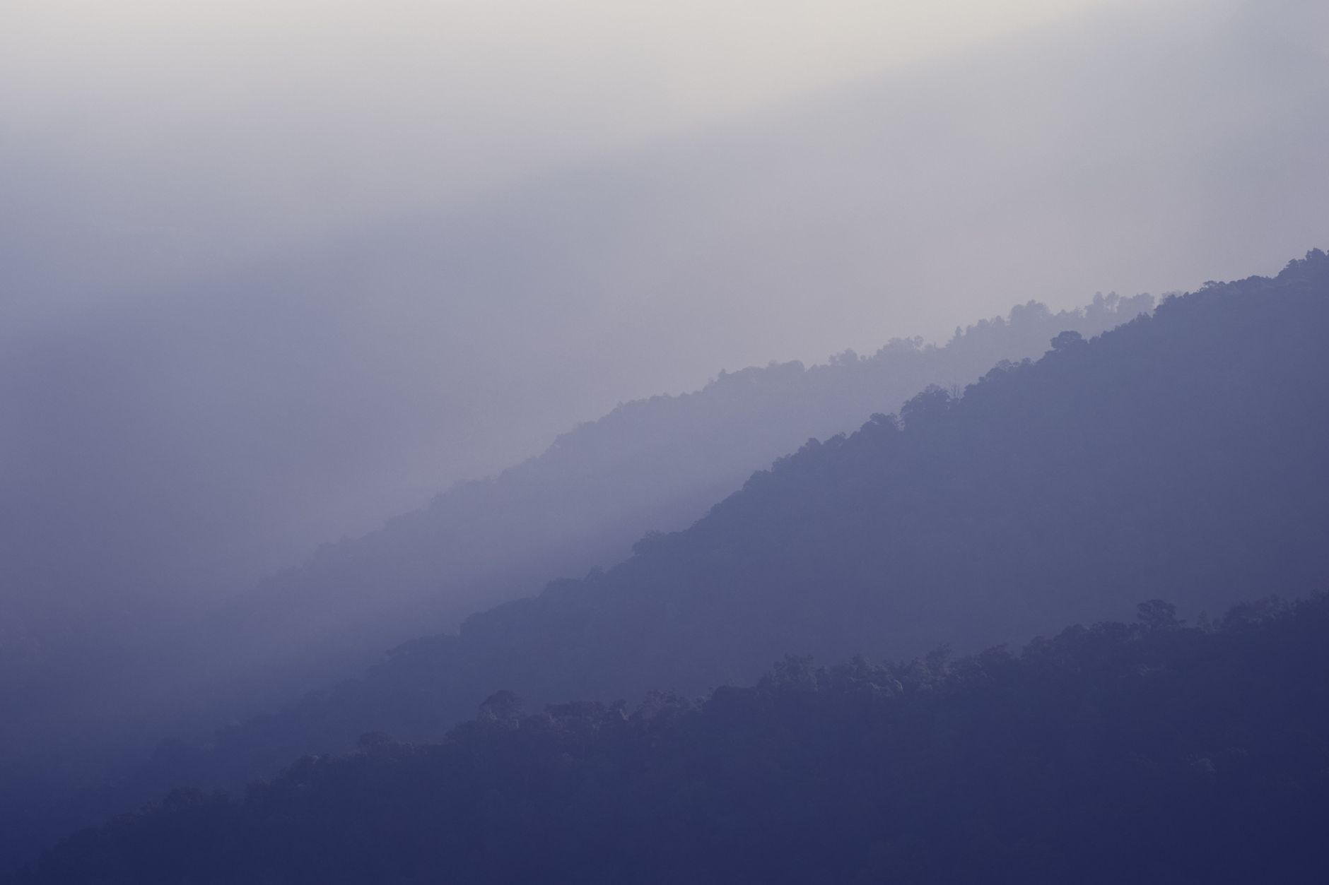 Atmospheric mountain landscape in morning mist