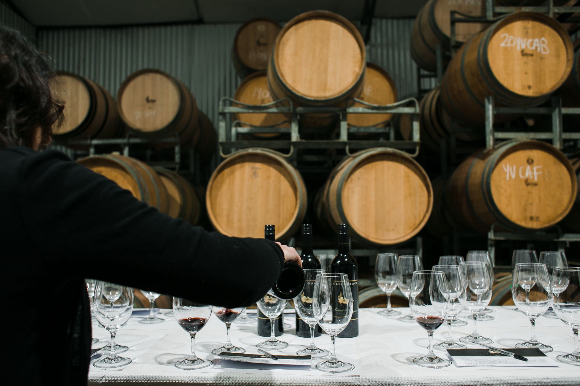 Gastronomy wine tasting cellar in France
